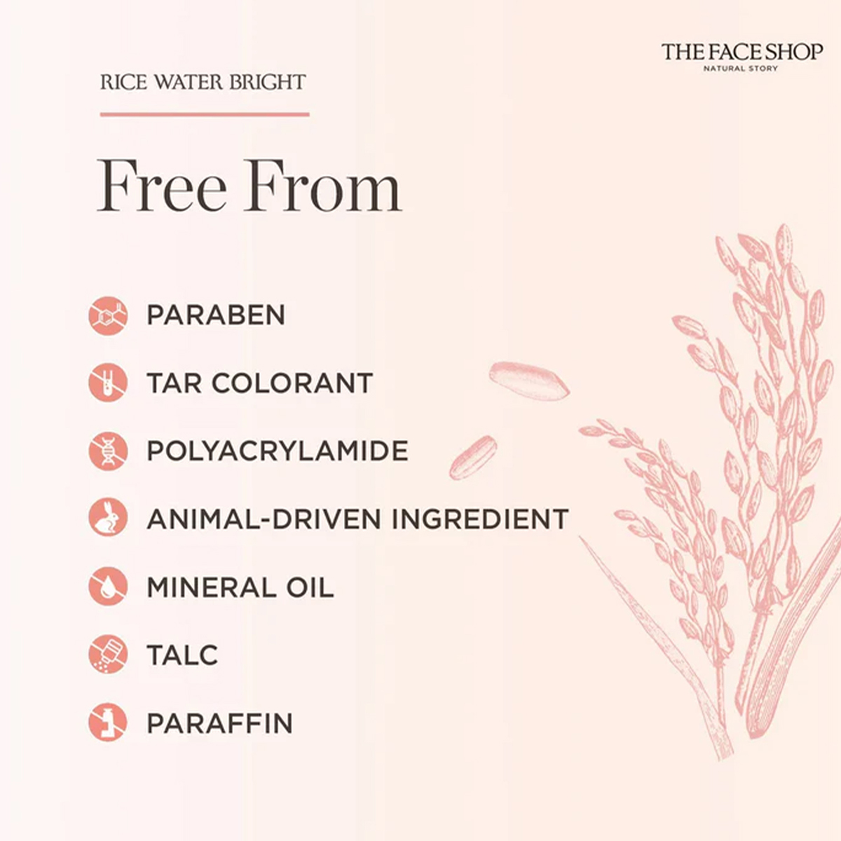 THE FACE SHOP RICE WATER BRIGH – High Luxury Skincare Bewertung und Preis